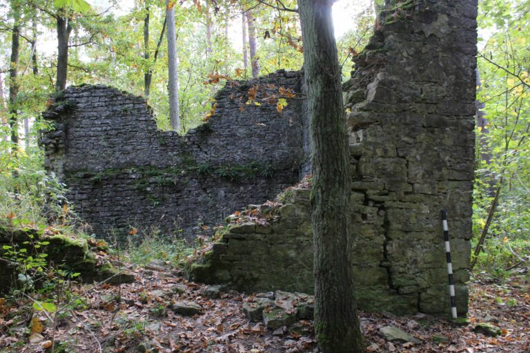 Freiherrlich von Thüngenscher Forst, Ruine des Blauen Turms