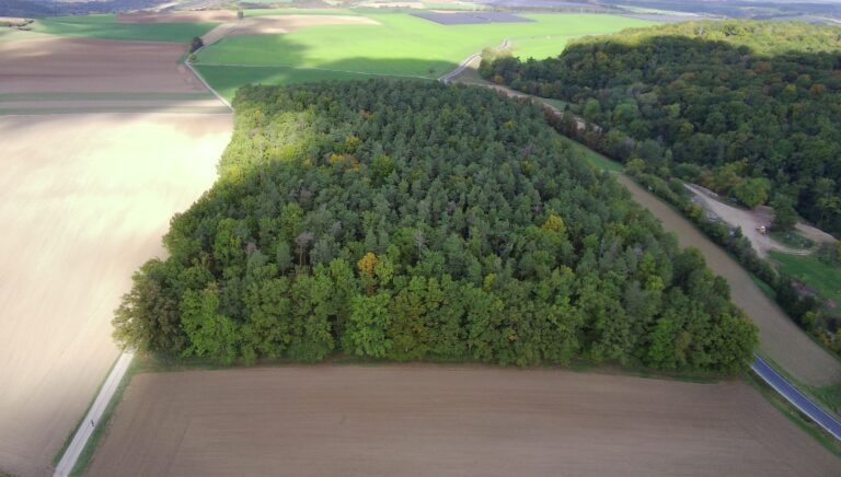 Freiherrlich von Thüngenscher Forst, Forstgrundstück „Blauer Turm“