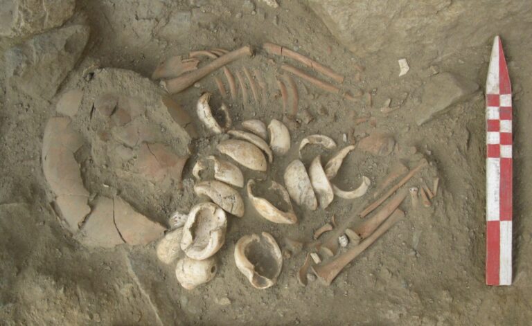 Archäologisches Projekt Orcón-Pacaybamba (PAOP), Bestattung aus dem späten 4. Jt. v. Chr. mit Muschelkette in der präkeramischen Siedlung von Polvareda
