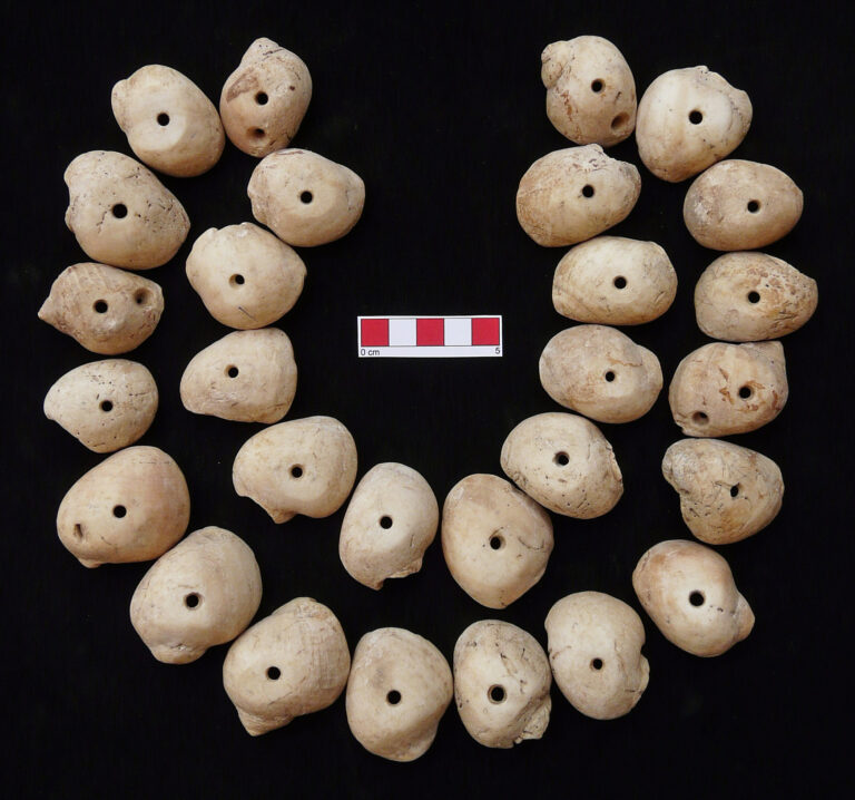 Archäologisches Projekt Orcón-Pacaybamba (PAOP), Grabbeigabe einer Muschelkette aus dem späten 4. Jt. v. Chr. der präkeramischen Siedlung von Polvareda